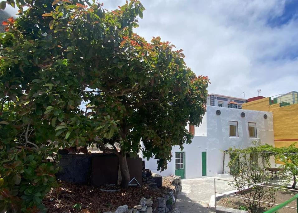 SabinosaLa Casa Del Aguacate别墅 外观 照片