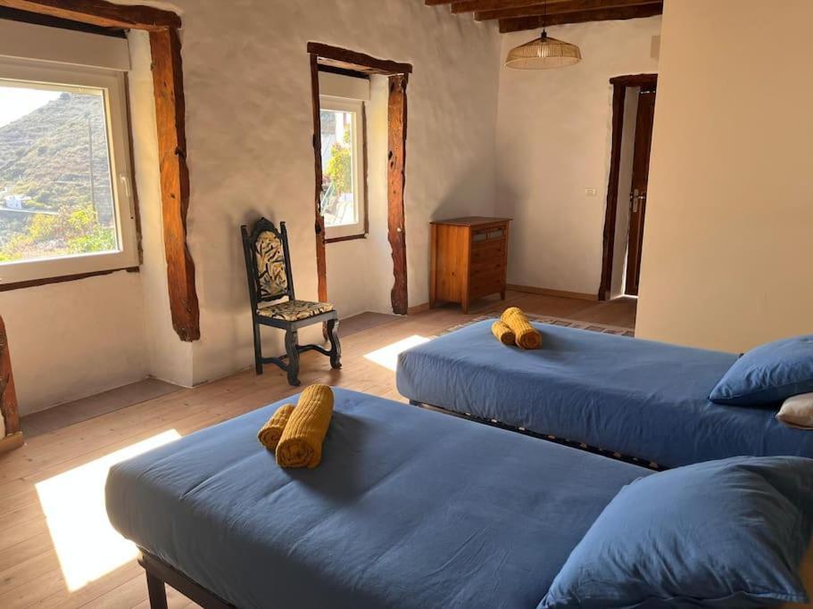 SabinosaLa Casa Del Aguacate别墅 外观 照片