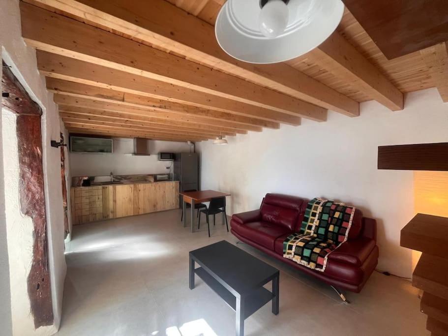 SabinosaLa Casa Del Aguacate别墅 外观 照片